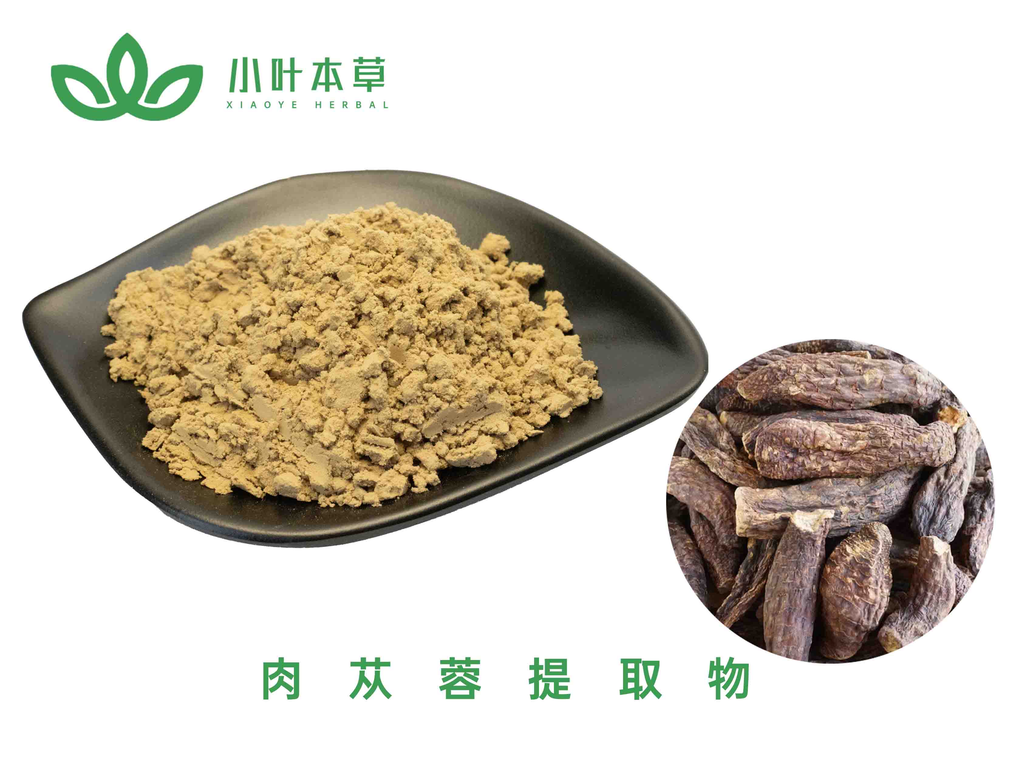 肉苁蓉提取物 肉苁蓉总苷80% 60% 40% (松果菊苷 毛蕊花糖苷)(规格可定制)