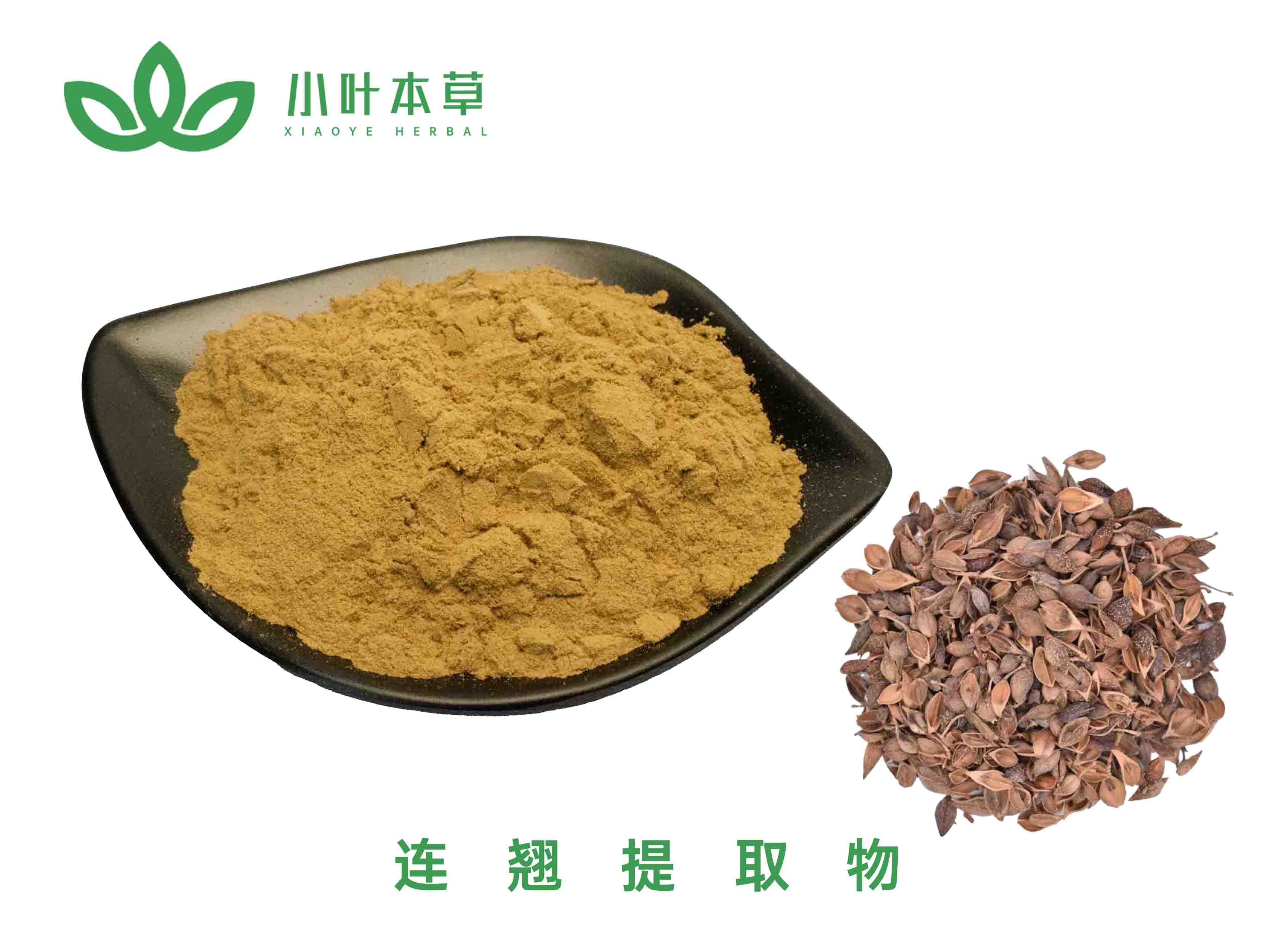 连翘提取物 金丝桃素0.3% 1.5% 98% 连翘苷1% 2% 3% 4% 50%金丝桃苷98%