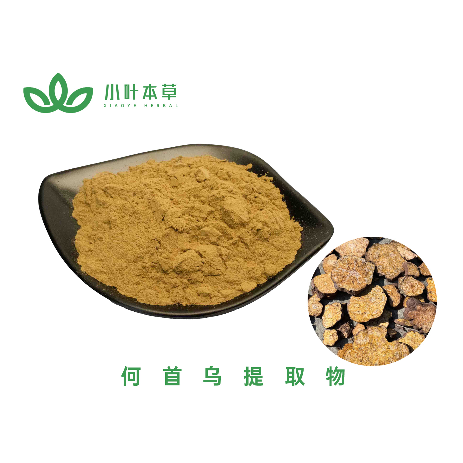 何首乌提取物 二苯乙烯苷50% 90% 95% 98%何首乌多肽99% 何首乌多糖50%