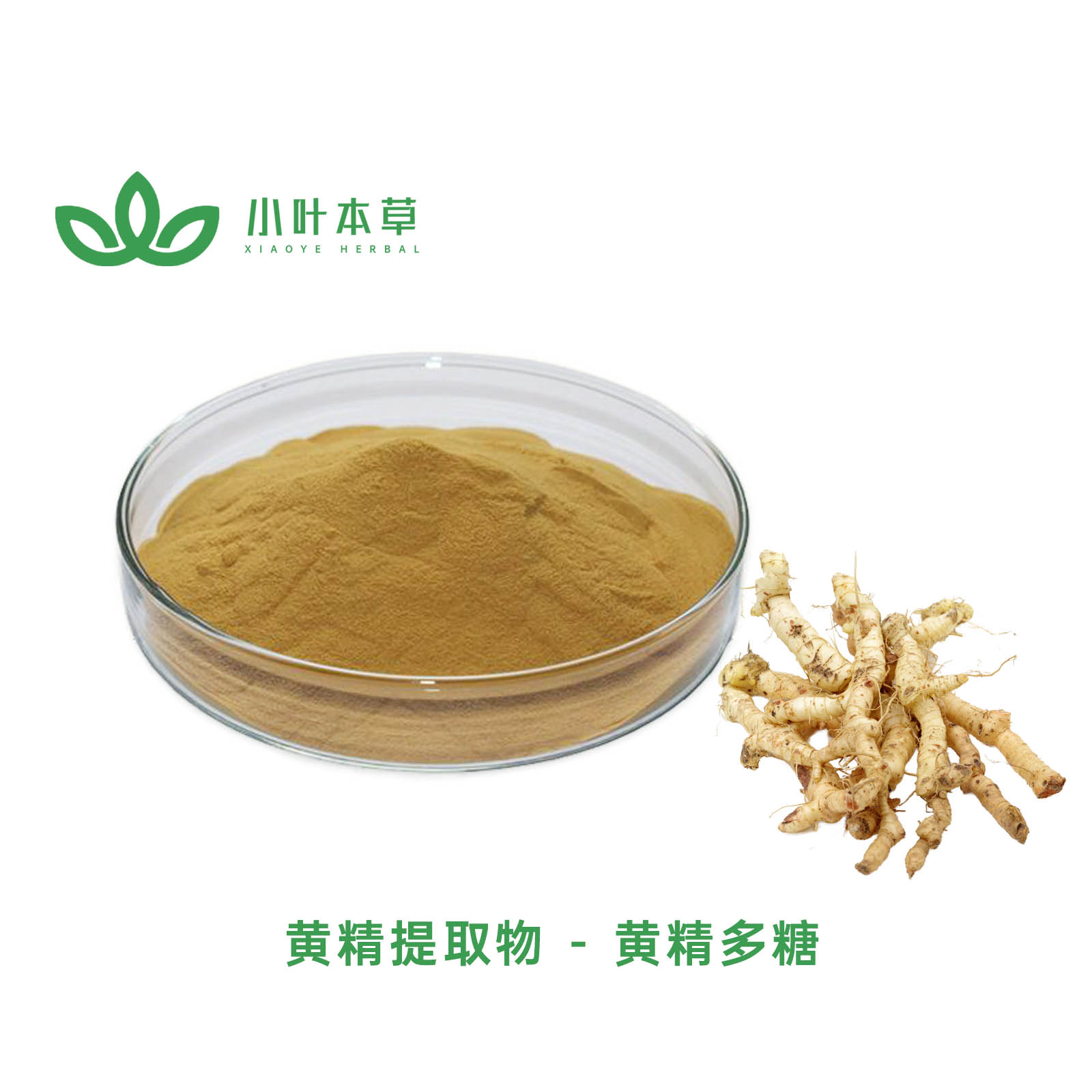  黄精提取物 - 10:1  黄精多糖10%~95%