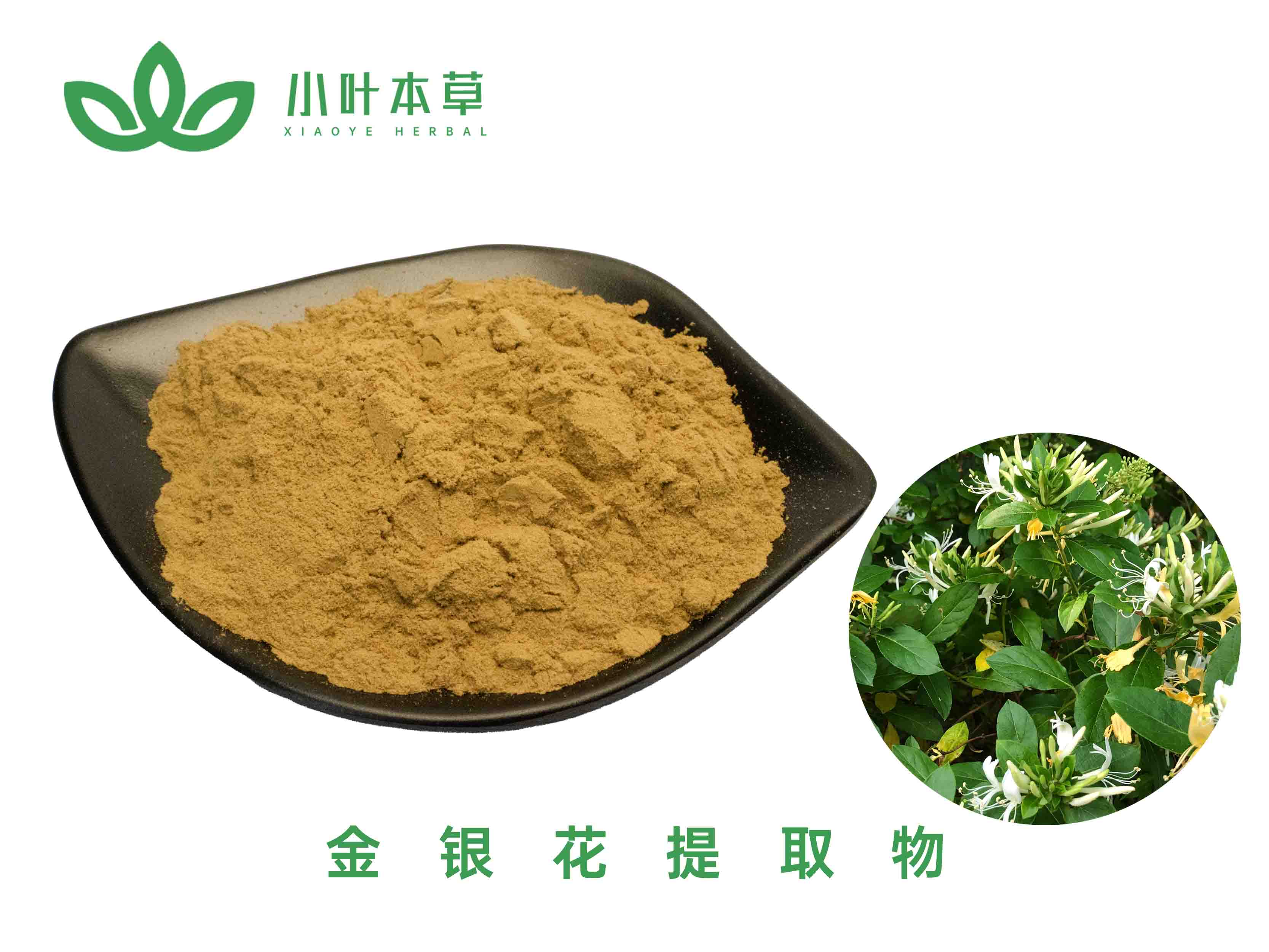 金银花提取物
