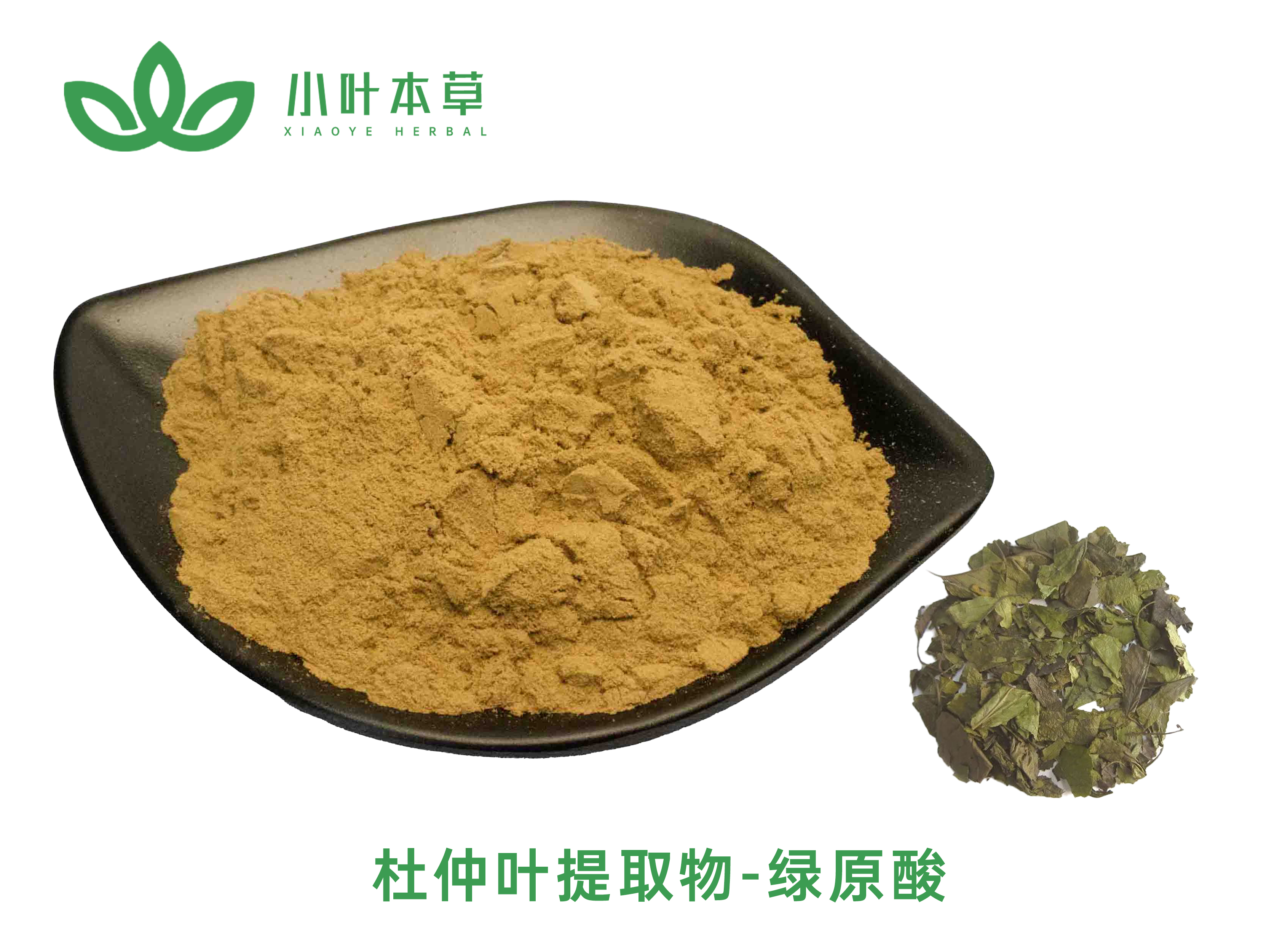 杜仲提取物-绿原酸