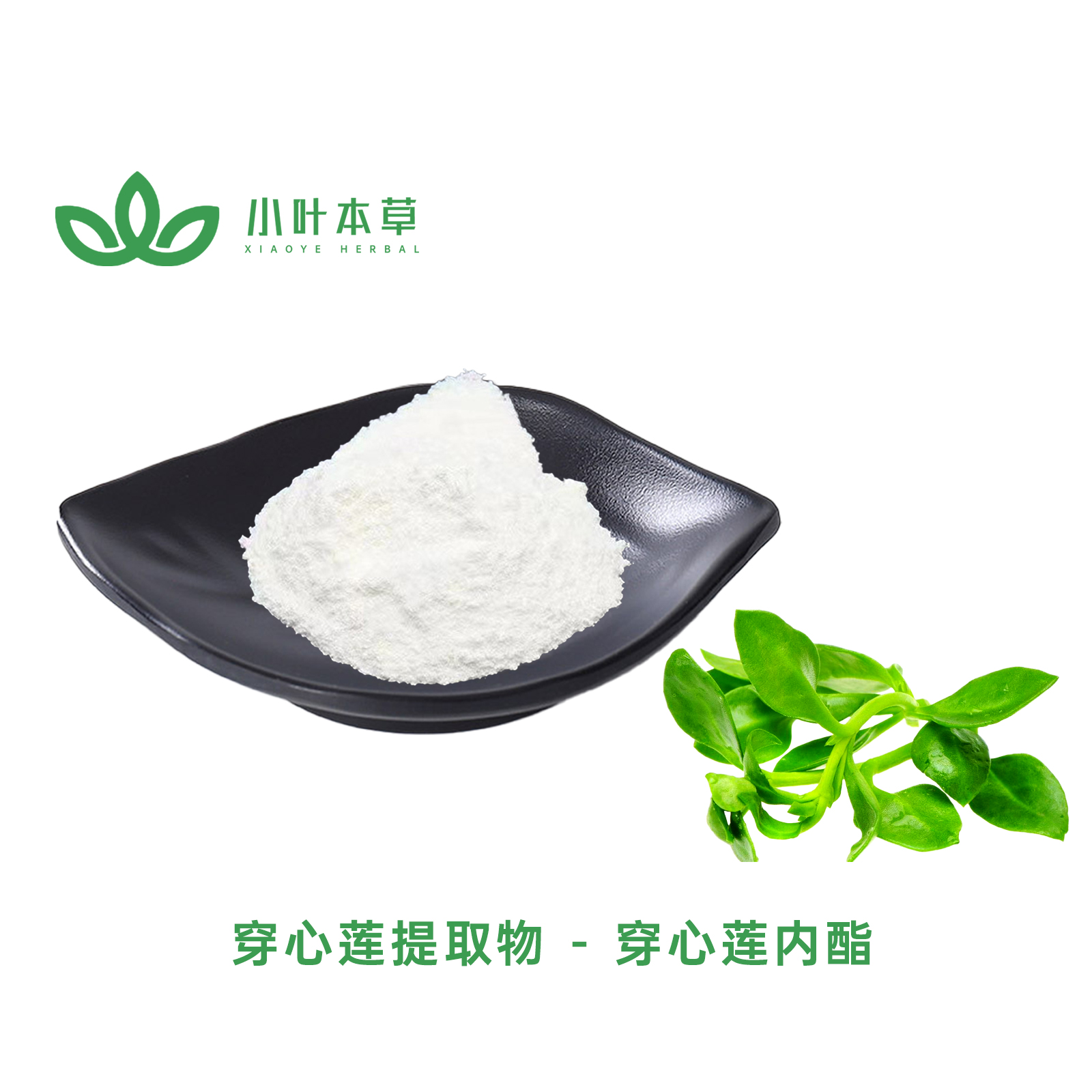  穿心莲提取物 - 穿心莲内酯5%-98% 穿心莲浸膏（可定制规格）