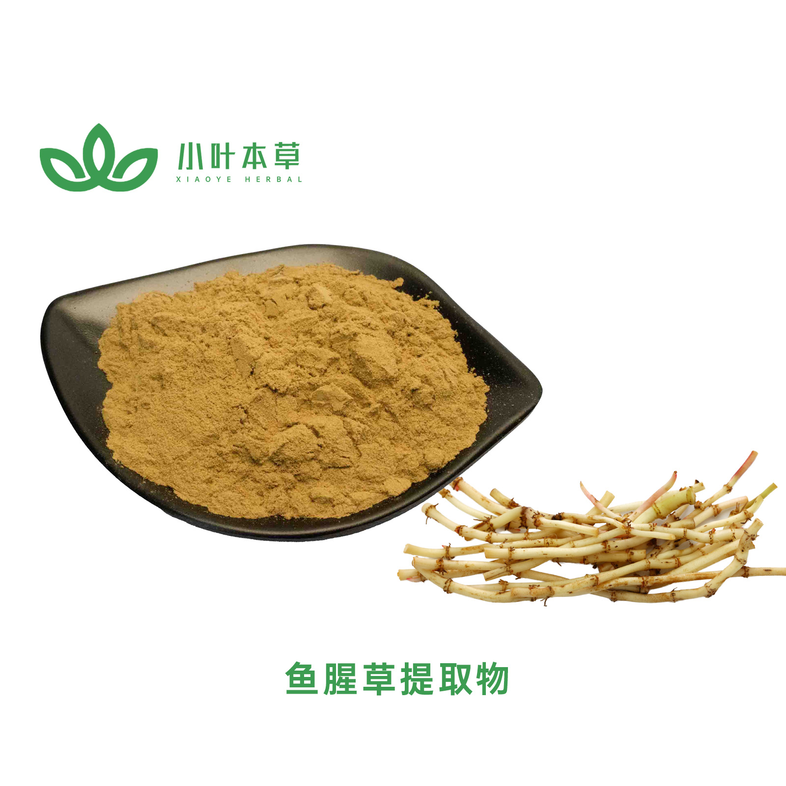 鱼腥草提取物 - 20:1 / 10:1 鱼腥草素钠98%（可定制规格）